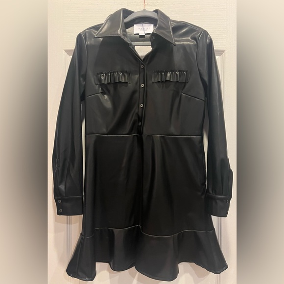 THE SHIRT BY ROCHELLE BEHRENS THE LEATHER DRESS NWT Medium - Picture 4 of 11